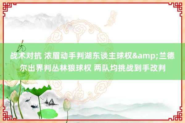 战术对抗 浓眉动手判湖东谈主球权&兰德尔出界判丛林狼球权 两队均挑战到手改判