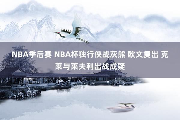 NBA季后赛 NBA杯独行侠战灰熊 欧文复出 克莱与莱夫利出战成疑