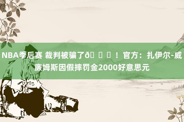 NBA季后赛 裁判被骗了😅！官方：扎伊尔-威廉姆斯因假摔罚金2000好意思元